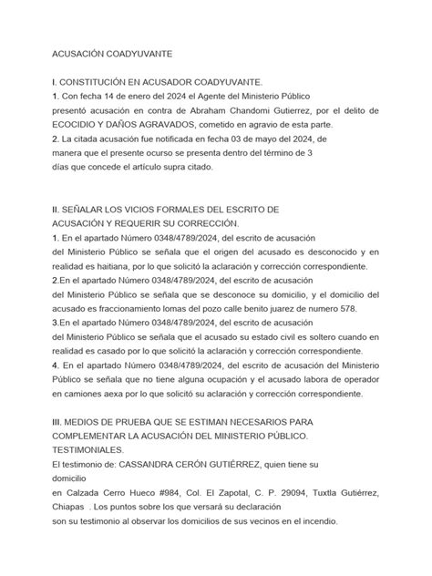 Acusación Coadyuvante Pdf Testigo Experto Justicia