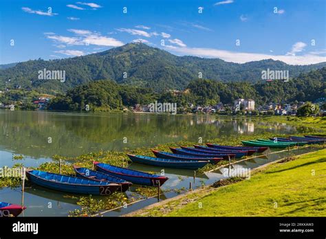 Pokhara lake hi-res stock photography and images - Alamy