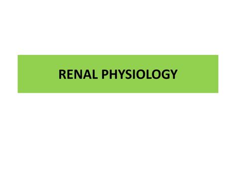 Urine Formation Ppt