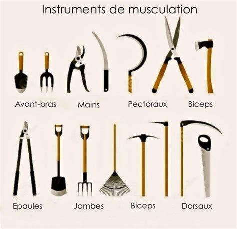 Pin By Mem On On Exp Rimente Le Jardinage Garden Tools Garden