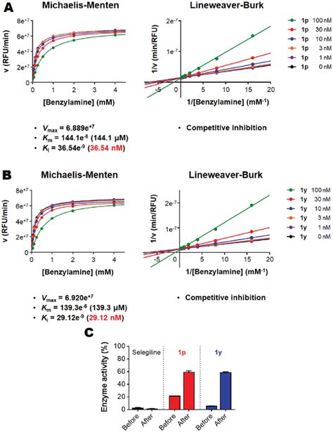 In Vitro Kinetic Study And Reversibility Testing For Inhibition Of