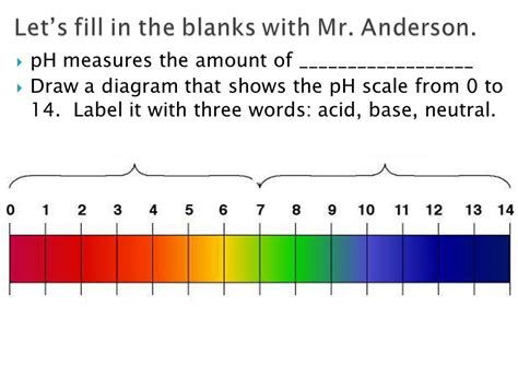 Acids Bases And The PH Scale Worksheet Printable And 40 OFF