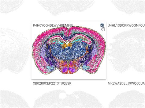 Abc Atlas User Guide Allen Brain Cell Abc Atlas Allen Brain Map
