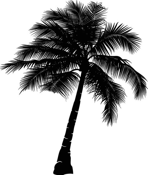 Ai Generated Silhouette Coconut Tree Black Color Only 38020712 Vector