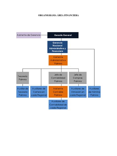 Organigrama Y Estados Financieros Contabilidad Negocios