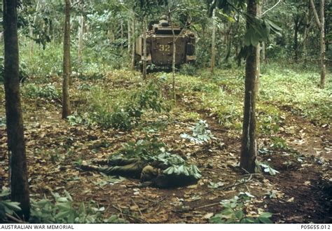 Battle Of Long Tan Australian War Memorial