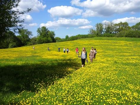 Glastonbury Level 2 6th Senses Walk 1 Openhand