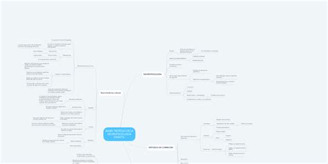 Bases TeorÍcas De La NeuropsicologÍa Infantil Mindmeister Mapa Mental