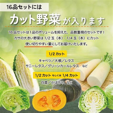 ｜送料無料｜16品 おまけ付き 野菜詰め合わせ ｜ 野菜セット 詰め合わせ 新潟 旬 野菜 フルーツ Yasaibox 16上越フルーツ