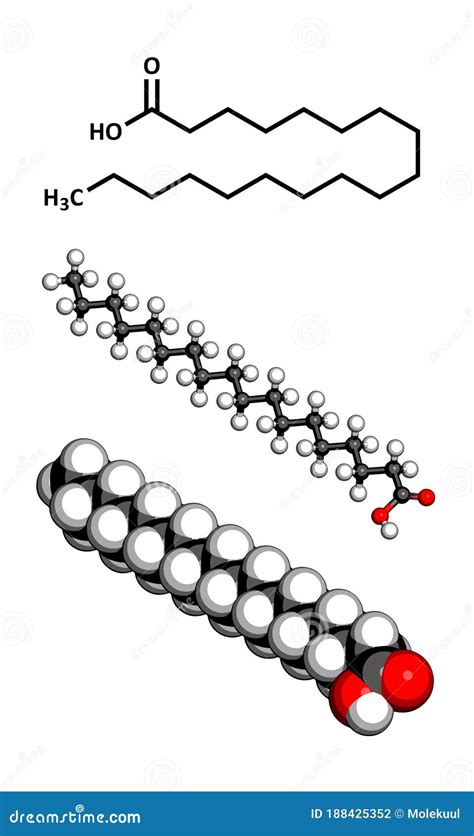 Stearic Acid Octadecanoic Saturated Fatty Acid Molecule Structural Chemical Formula And