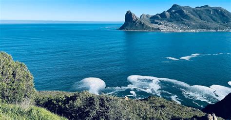 Das Beste Am Kap Tafelberg Kap Der Guten Hoffnung Tagestour