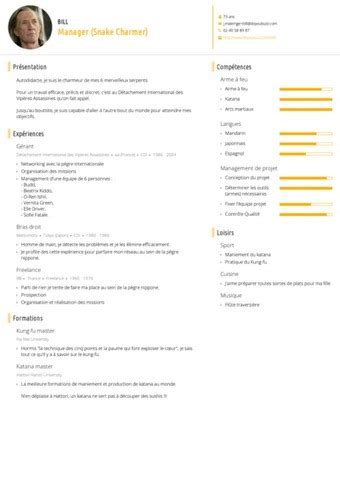 Exemple De Curriculum Vitae Auxiliaire De Puericulture Laboite Cv Fr