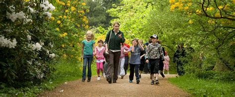 Walking trails at Westonbirt Arboretum | Forestry England