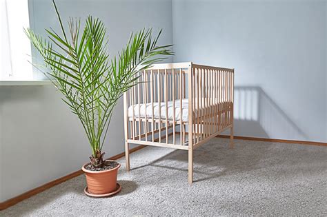 Comment Bien Choisir Un Matelas Pour Votre Enfant Information