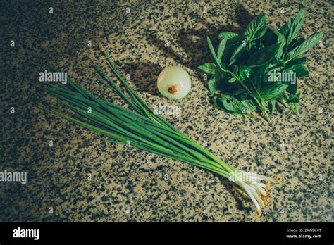 Fresh Raw Long Onion Ishikura Bunching Onion Peeled Onion Aka