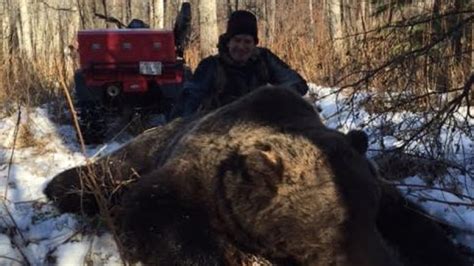 Grizzly Bear Attack Fended Off By Alberta Hunter Cbc News