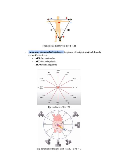 SOLUTION Electrocardiografía ECG Principios básicos Studypool