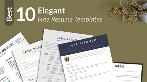 10 Elegant Free Resume Templates | ResumGO