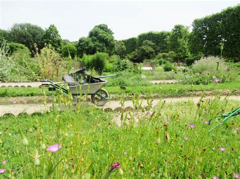 Comment Renforcer La Biodiversit En Ville