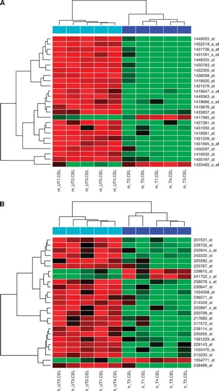 Heatmaps Illustrate The Differential Abundance Of Most Significantly Download Scientific