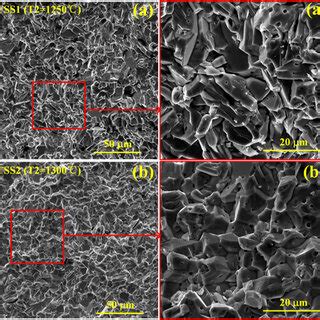 SEM Micrographs Of The Fracture Surfaces Of The IGZO Ceramics Prepared