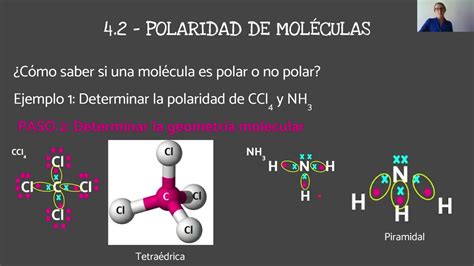 Polaridad De Enlaces Y De Moléculas Curso De QuÍmica Para