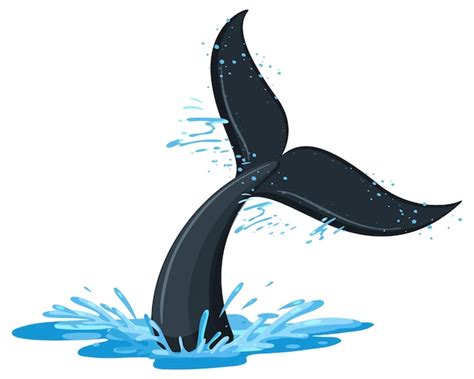 Whale Tail PNG Clipart Best WEB Clipart Clip Art Library