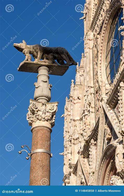Lupa Senese - Symbol Of Siena Italy Stock Image | CartoonDealer.com ...