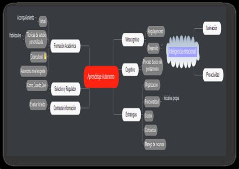 Bienvenida Mapa Conceptual Del Aprendizaje Aut Nomo