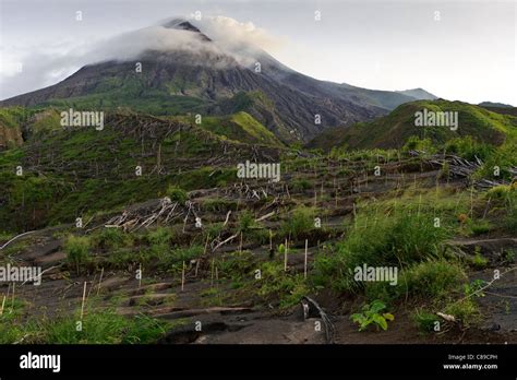 Gunung Merapi Volcano From Kinahrejo Yogyakarta Java Indonesia Stock