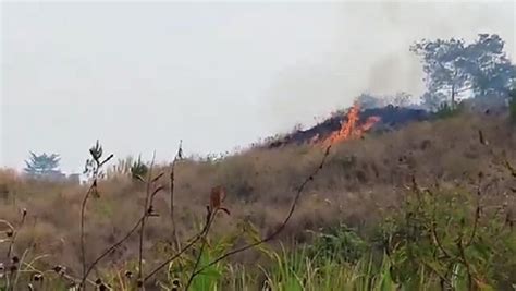 Hektare Lahan Kaki Gunung Guntur Garut Terbakar Diduga Akibat