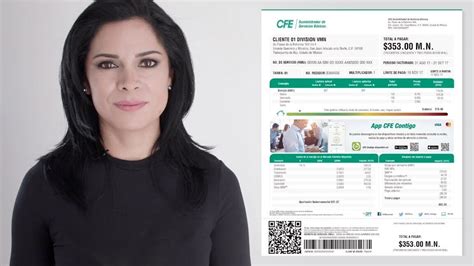 Solicita La Factibilidad De CFE En El Formato Perfecto Para Ti