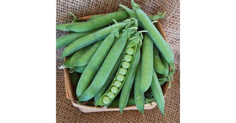 Green Arrow Shelling Peas