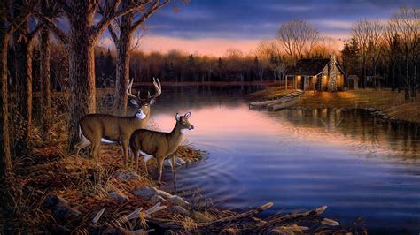 Hunting Wallpapers Top Free Hunting Backgrounds Wallpaperaccess