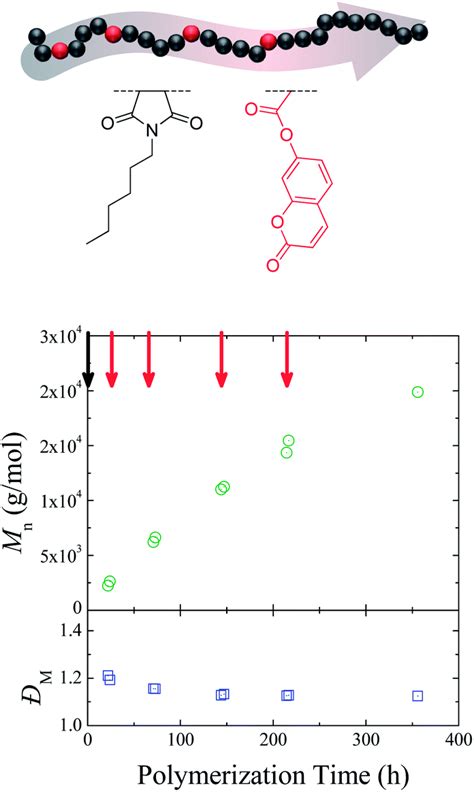 Precision Polymers A Kinetic Approach For Functional Polynorbornenes