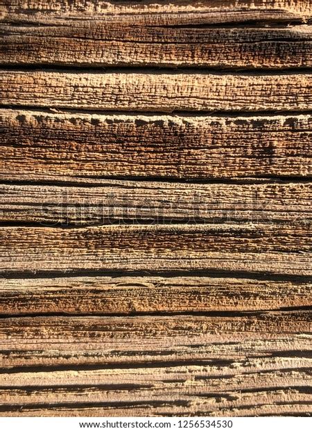 Rustic Antique Wood Grain Textures Stock Photo 1256534530 Shutterstock