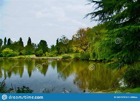 Side Of The Queens Park Lake Stock Photo Image Of Early Side 265157616