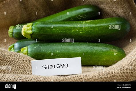 Close Up Of Fresh Gmo Zucchini Or Green Squash With A Burlap Sac As A