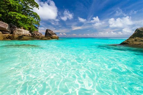 Turquoise Waters Print A Wallpaper