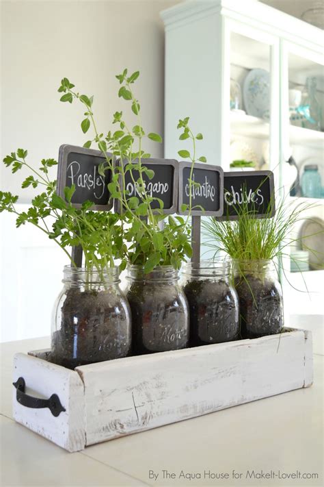 indoor kitchen herb garden