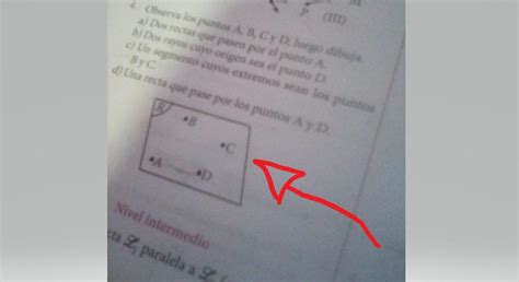 Observa Los Puntos A B C Y D Luego Dibujaa Dos Rectas Que Pasen Por El