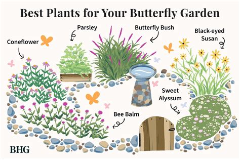 Attract fluttering pollinators to your yard with this easy care