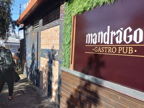 MANDRAGORA GASTRO PUB San José Fotos Número de Teléfono y