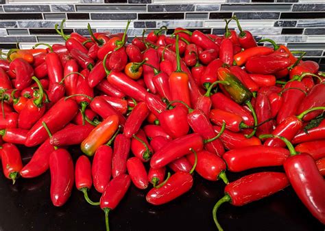 indonesian sambal balado  jalapenos aka bule chili sauce