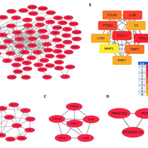 Protein Protein Interaction Ppi Analysis A Ppi Networks Of The