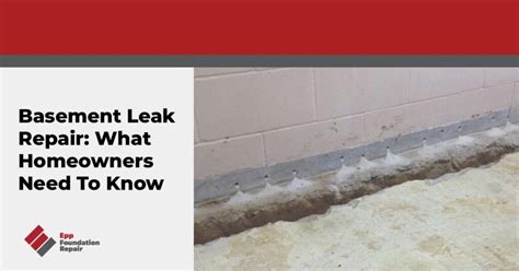 Basement Leak Repair What Homeowners Need To Know