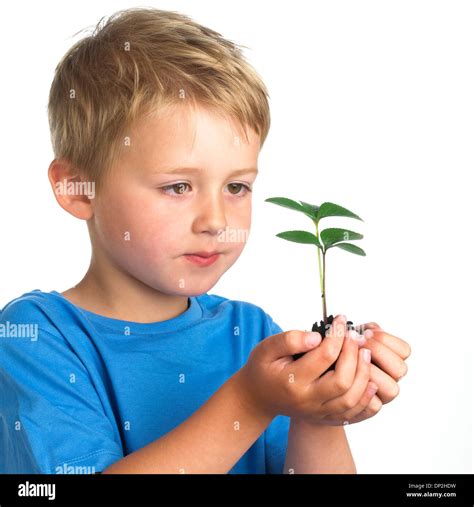 Boy Holding Seedling Stock Photo Alamy