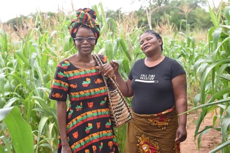 Sustainability In A Model Village In Rural Zambia Ethnography Project