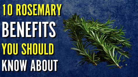 Reasons To Drink Rosemary Tea Daily A Healing Gift To Yourself