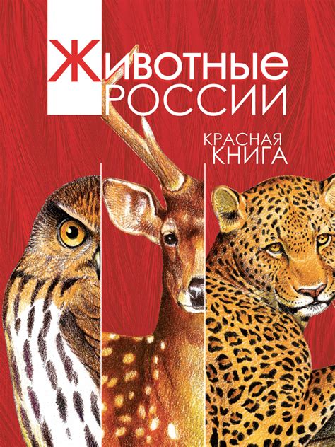 А. В. Тихонов, Животные России. Красная книга – скачать pdf на ЛитРес